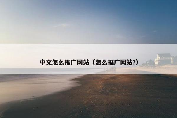 中文怎么推广网站（怎么推广网站?）