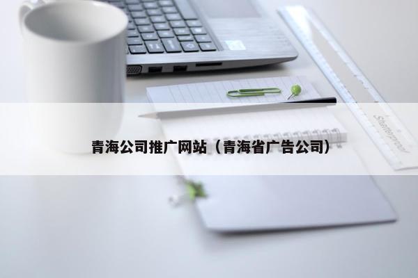 青海公司推广网站（青海省广告公司）