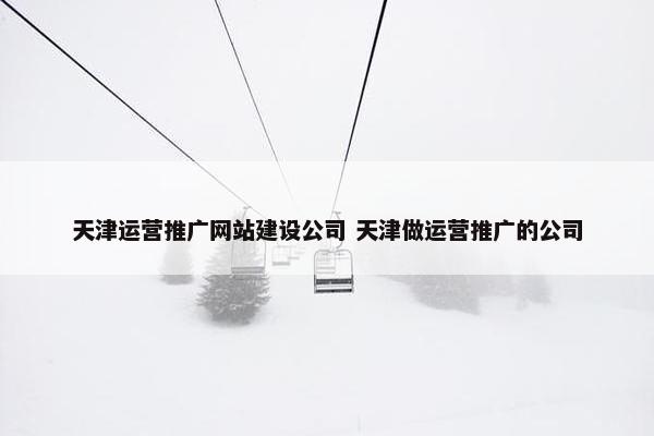 天津运营推广网站建设公司 天津做运营推广的公司