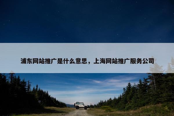 浦东网站推广是什么意思，上海网站推广服务公司