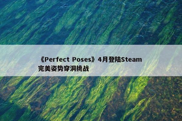 《Perfect Poses》4月登陆Steam 完美姿势穿洞挑战