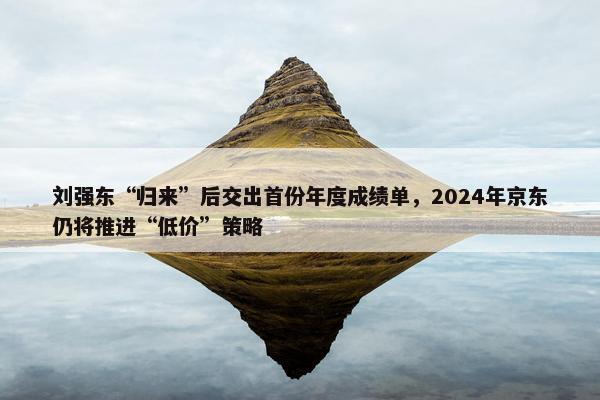 刘强东“归来”后交出首份年度成绩单，2024年京东仍将推进“低价”策略