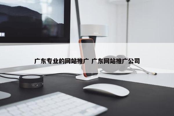 广东专业的网站推广 广东网站推广公司