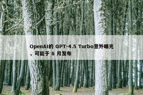 OpenAI的 GPT-4.5 Turbo意外曝光，可能于 6 月发布