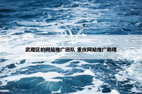 武隆区的网站推广团队 重庆网站推广助理