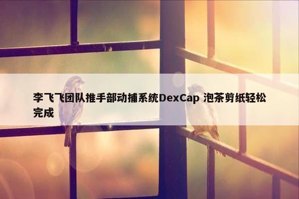 李飞飞团队推手部动捕系统DexCap 泡茶剪纸轻松完成
