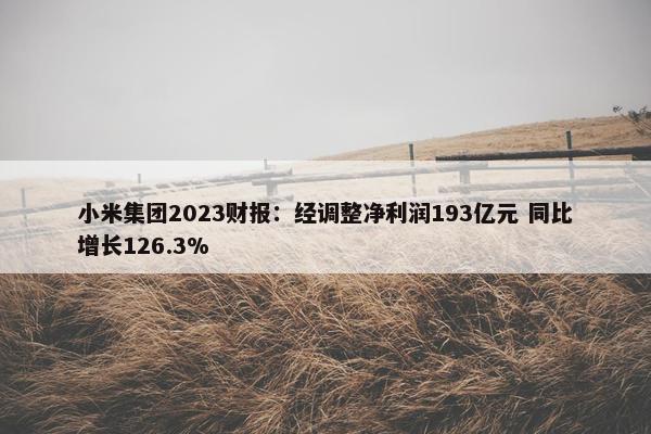 小米集团2023财报：经调整净利润193亿元 同比增长126.3%