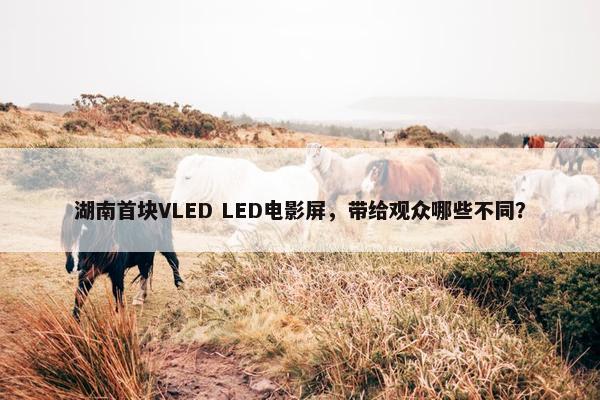 湖南首块VLED LED电影屏，带给观众哪些不同？