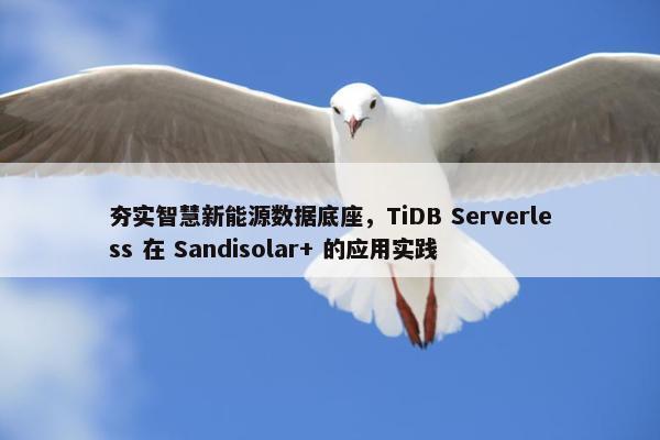 夯实智慧新能源数据底座，TiDB Serverless 在 Sandisolar+ 的应用实践