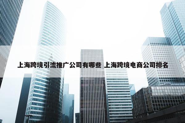 上海跨境引流推广公司有哪些 上海跨境电商公司排名
