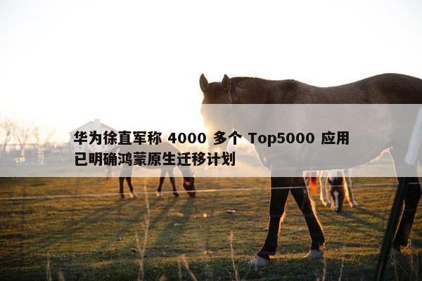 华为徐直军称 4000 多个 Top5000 应用已明确鸿蒙原生迁移计划