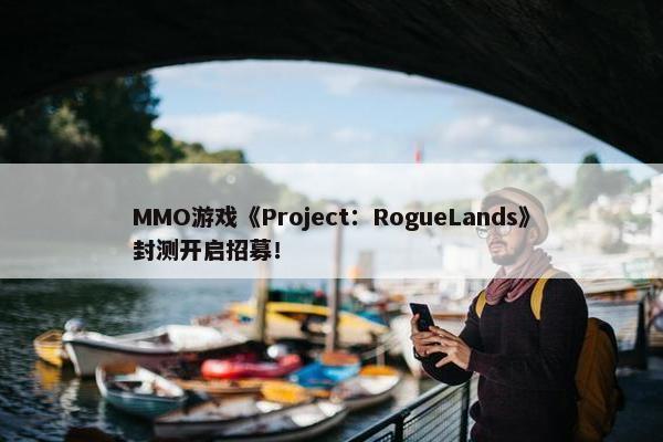 MMO游戏《Project：RogueLands》封测开启招募！