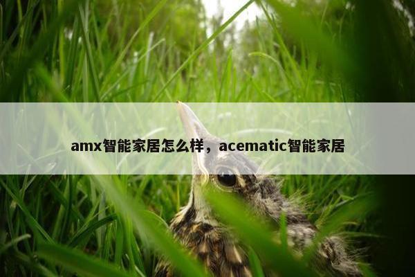 amx智能家居怎么样，acematic智能家居