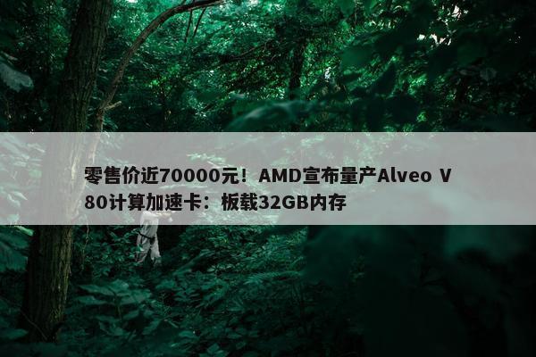 零售价近70000元！AMD宣布量产Alveo V80计算加速卡：板载32GB内存