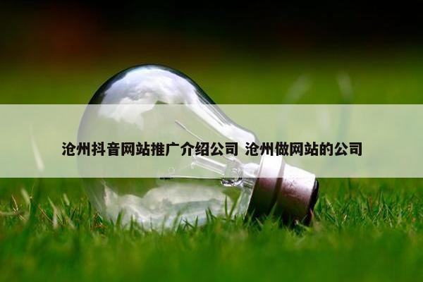 沧州抖音网站推广介绍公司 沧州做网站的公司